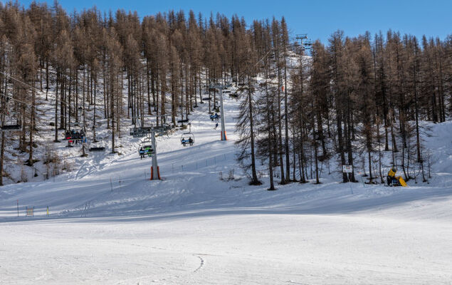 Jouvenceaux - Photo 40