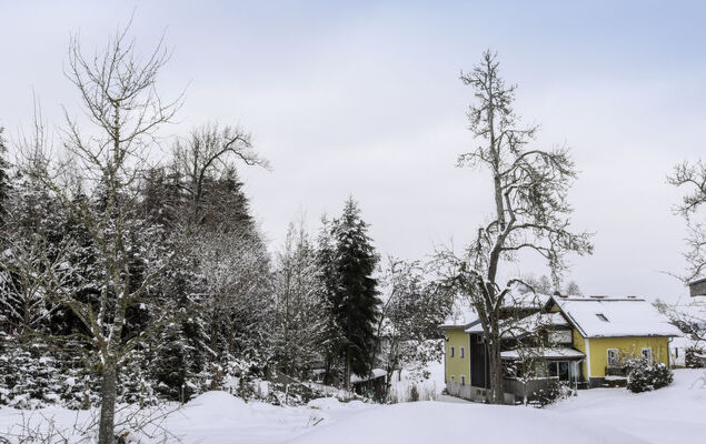 große Winten - Photo 23