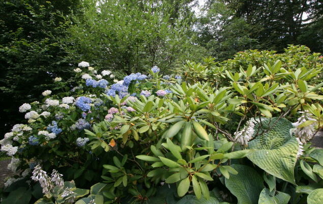 Vogelhütte - Photo 13