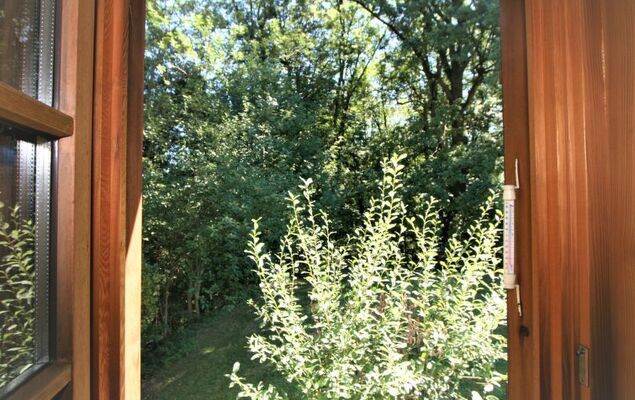 Vogelhütte - Photo 16