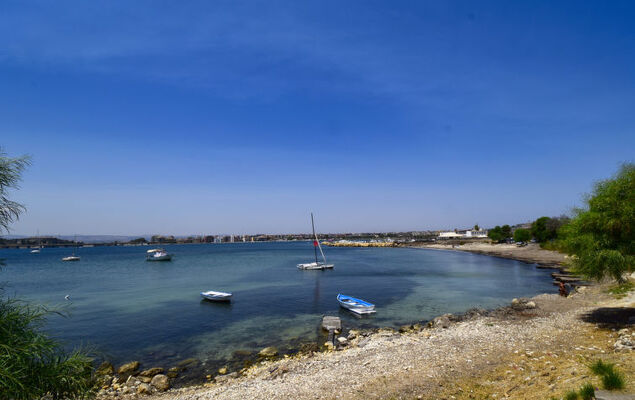 Zuccheri Canditi - Photo 41