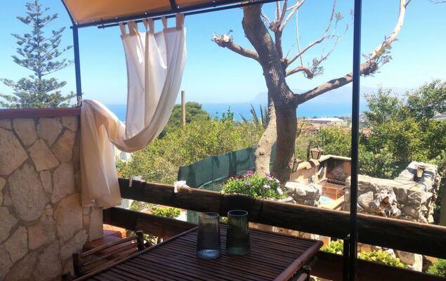 Melograno di Patrizia - Photo 11