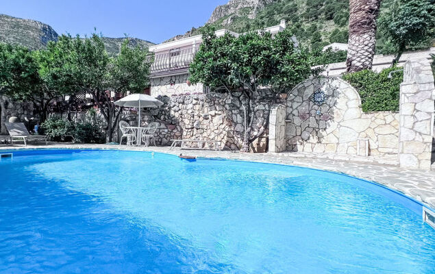 Melograno di Patrizia - Photo 17