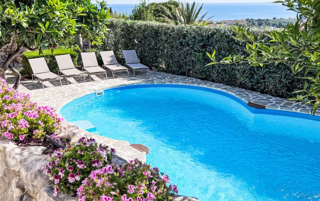 Melograno di Patrizia - Photo 21