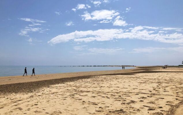 Melograno di Patrizia - Photo 26